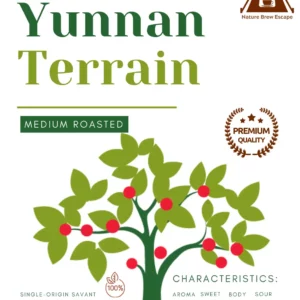Yunnan Terrain – Single Origin Yunnan Coffee Beans