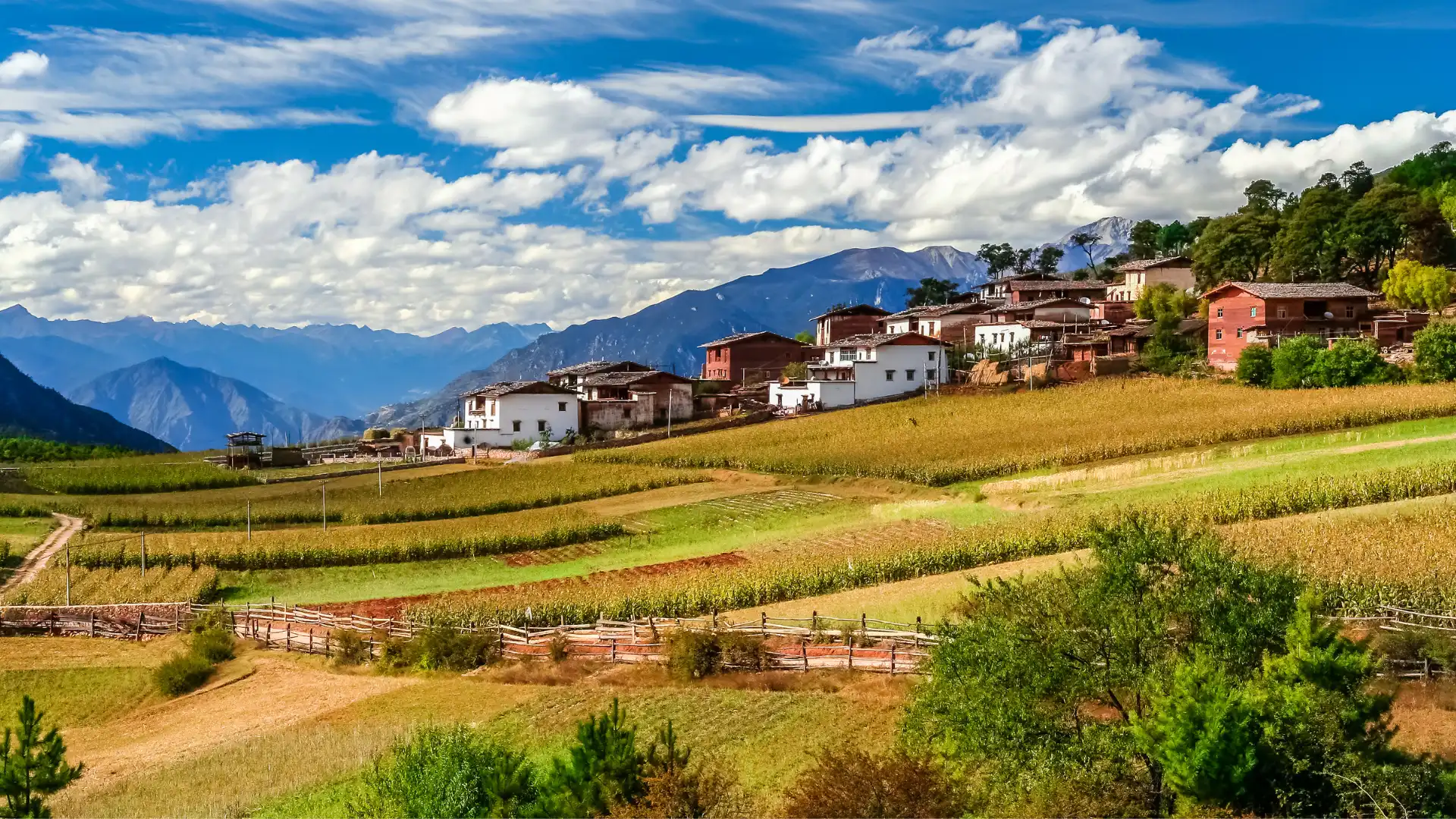 The Extraordinary Rise How Yunnan Coffee Became Asia s New Coffee the-extraordinary-rise-how-yunnan-coffee-became-asia-s-new-coffee