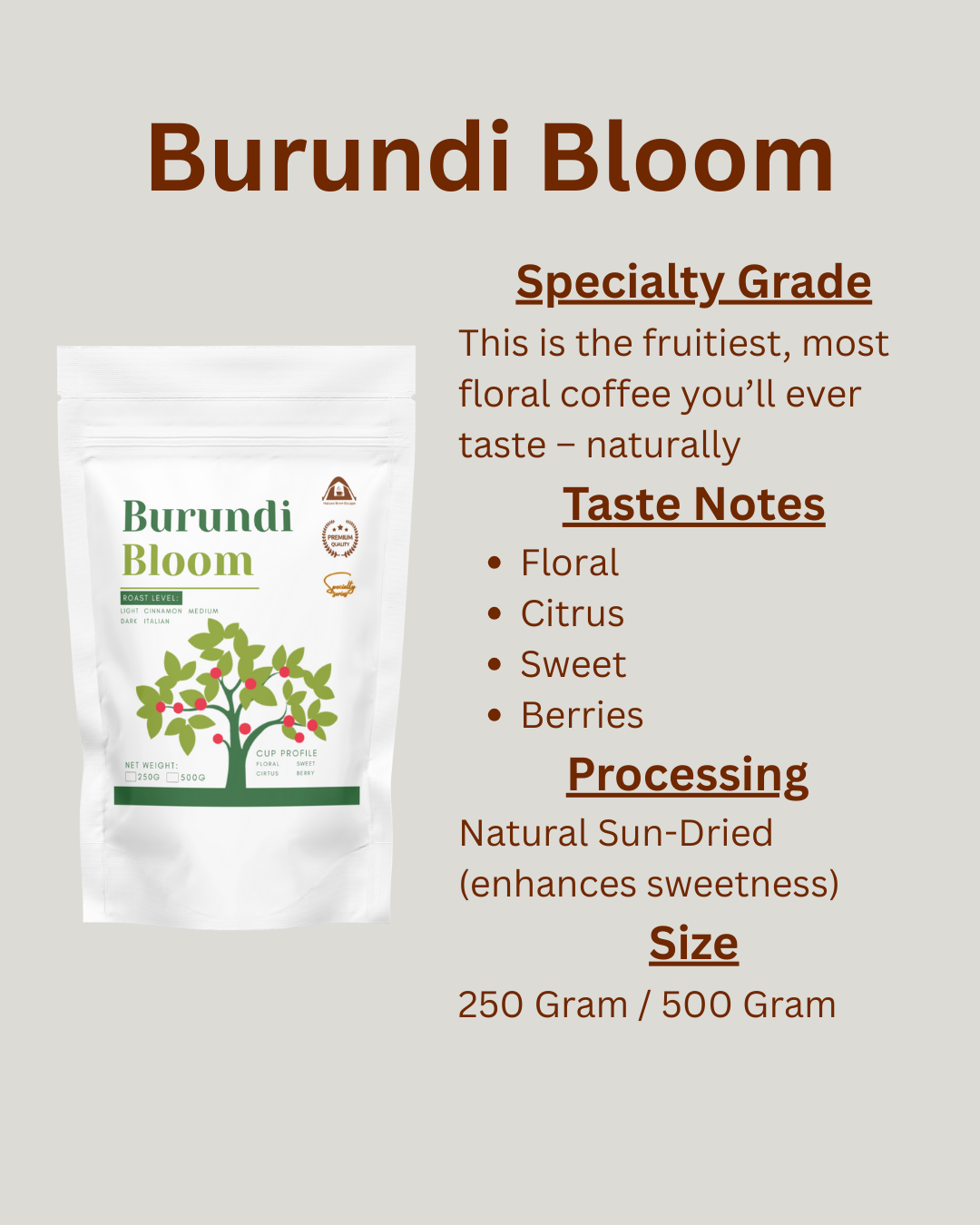 Burundi Bloom - Image 3