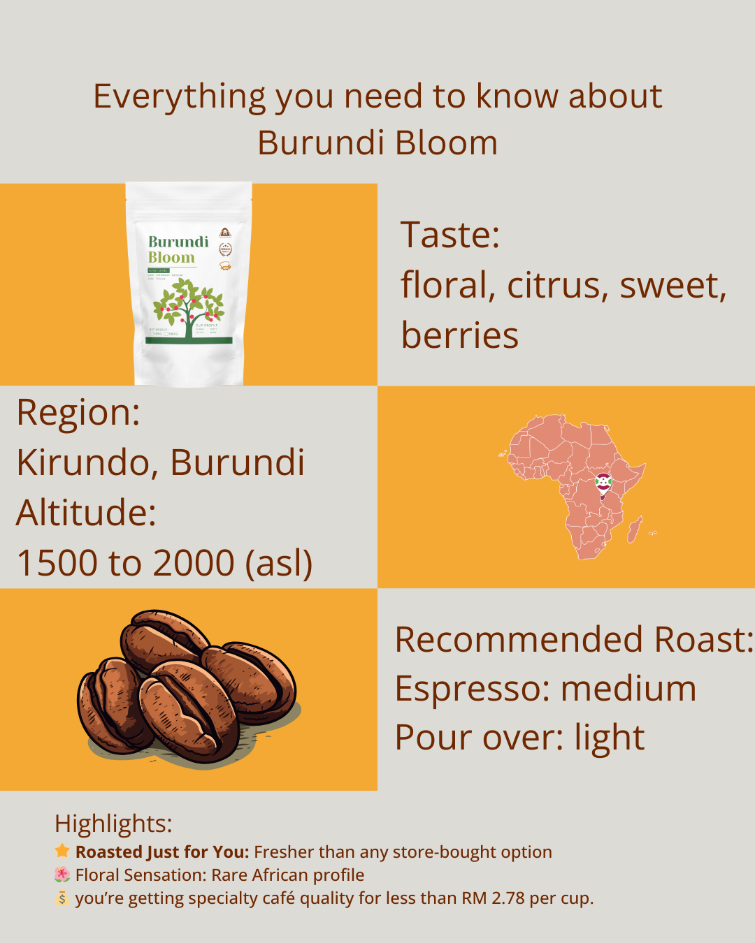 Burundi Bloom - Image 4